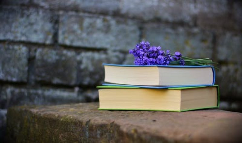 Deux livres avec fleurs violettes sur une roche en avant d'un mur en briques.