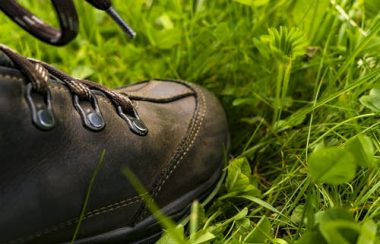 Une bottine de randonnée dans l'herbe.