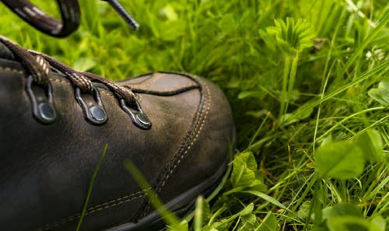 Une bottine de randonnée dans l'herbe.