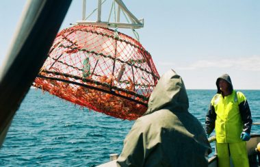 Deux personnes sur un bateau aux côtés d'une cage en suspension dans laquelle on voit des crabes.