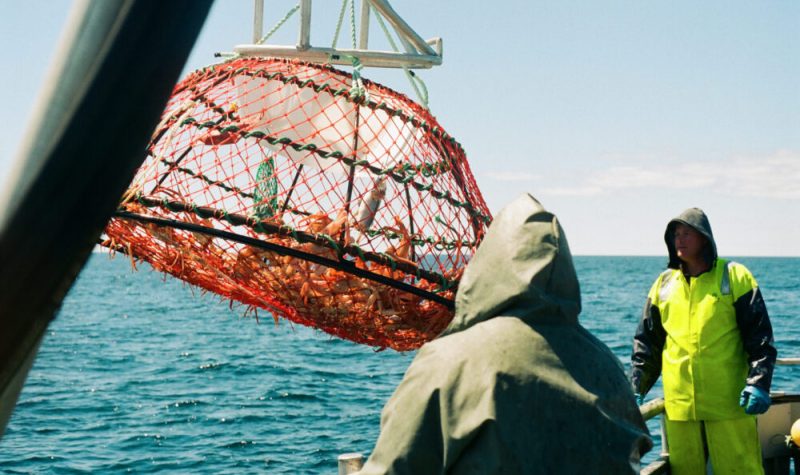 Deux personnes sur un bateau aux côtés d'une cage en suspension dans laquelle on voit des crabes.