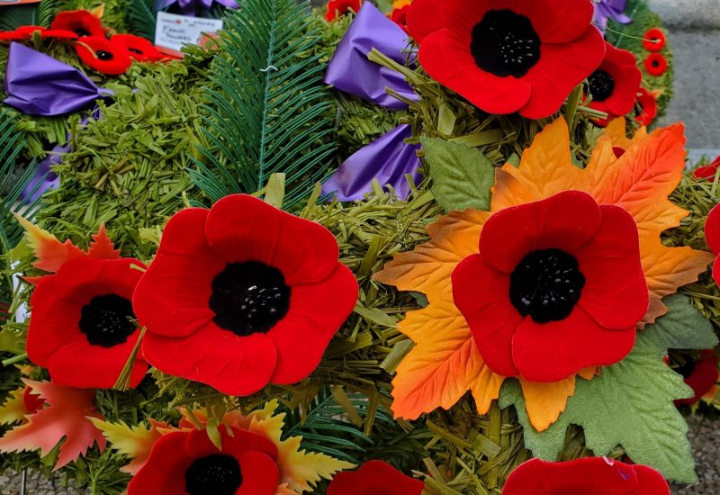 Poppies displayed on a wreath