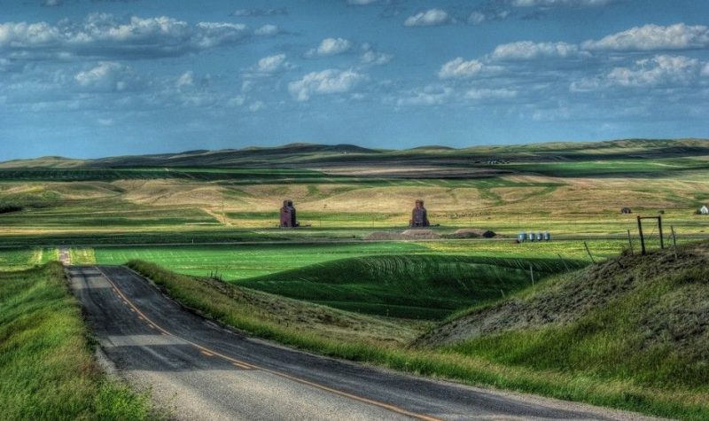 A photo of a sunny road in the Canadian prairies.
