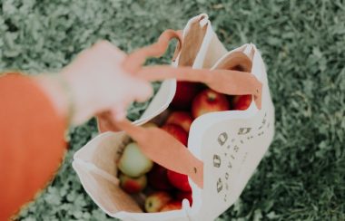 A hand is holding a printed burlap shopping bag with apples.