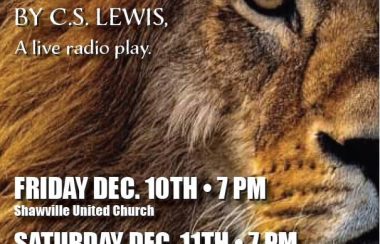 A poster advertising performances of The Magician's Nephew by C.S. Lewis, with a lion background.