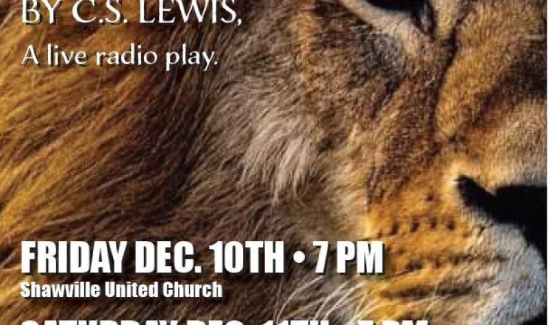 A poster advertising performances of The Magician's Nephew by C.S. Lewis, with a lion background.