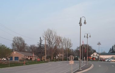 A road with a median and lightposts. Houses on the left. Cars in a parking lot for the ferry dock on the right. Trees in the background.