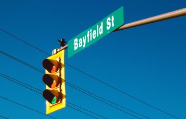 On aperçoit un feu de circulation avec un panneau de rue indiquant « Bayfield St ». À l'arrière plan on voit des fils électriques et le ciel bleu.