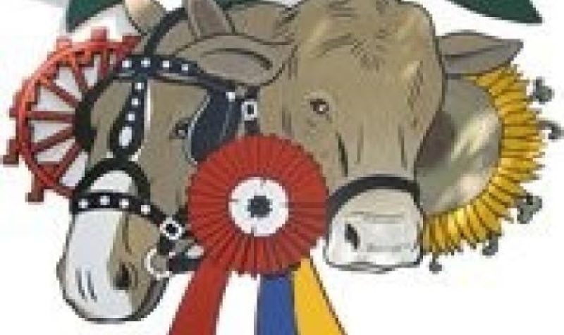 The logo of the Shawville Fair, containing a horse head, a cow head, a ferris wheel and a sunflower.