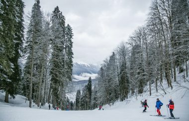Une pente de ski bordée d'arbres. On voit trois personnes en train de skier, tout petit en bas à droite de la photo.
