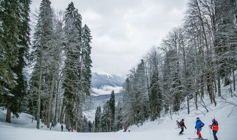 Une pente de ski bordée d'arbres. On voit trois personnes en train de skier, tout petit en bas à droite de la photo.