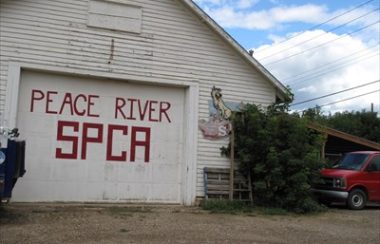 Une devanture de garage avec la phrase Peace River SPCA écrit dessus