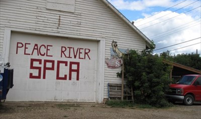 Une devanture de garage avec la phrase Peace River SPCA écrit dessus