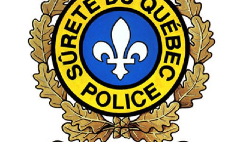 The logo of the Sûreté du Québec, with a gold oak leaf crown surrounding a blue background containing a white fleur-de-lys.