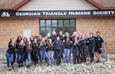 Les employés de la Georgian Triangle Humane Society