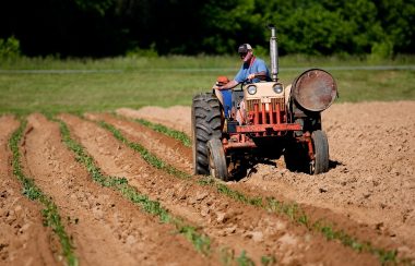 A stock photo of a farmer on his tractor on his farm.