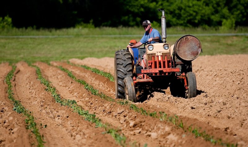 A stock photo of a farmer on his tractor on his farm.