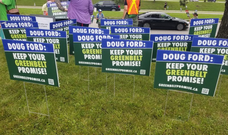 A garden of blue and green lawn signs with white text reading: Doug Ford: Keep your Greenbelt Promise!