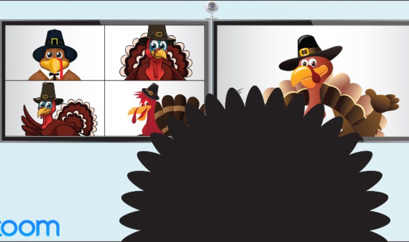 Turkeys participate in a Zoom meeting.