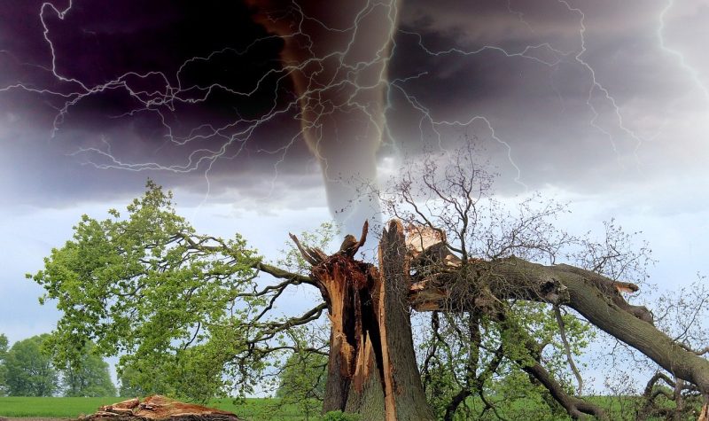 A tornado can be seen in the background with stormy dark skies. A tree trunk is pictured that was snapped in half and the broken half can be seen laying across the green grass.