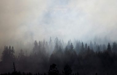 Plan large avec une forêt en premier plan et une fumée épaisse en arrière-plan.