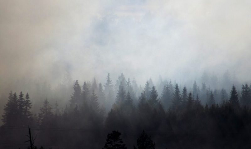 Plan large avec une forêt en premier plan et une fumée épaisse en arrière-plan.