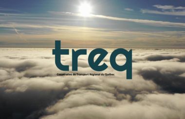Logo de TREQ