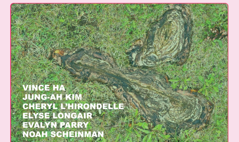 There is a pink background, the text surrounding the center image says 'Unearthed, belleparkproject.ca'. the image in the centre is belle park from an aerial view, showing the green marshy area. The artists names are listed in white text over the image.