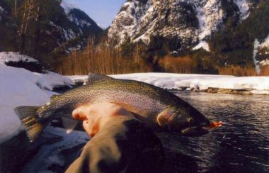 A hand holds a salmon in front of a sunny lake and snowy mountain range.