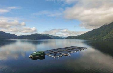 Seeking judicial review for fish farms on unceded territory