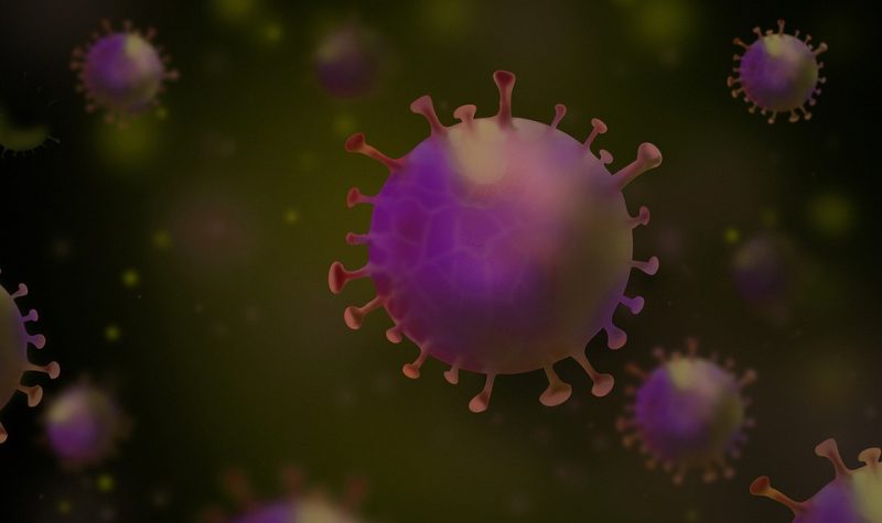 Image d'un virus