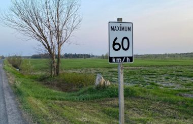 Panneau de limite de vitesse indiquant 60 km/h sur une route rural.