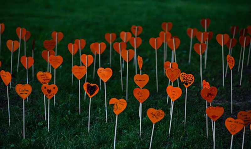 Red hearts on sticks placed in a bed of grass.