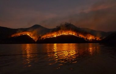 Trees burning. Lake in the front, mountains in the background.