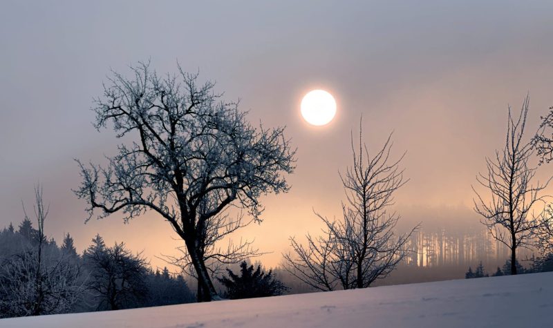 A misty snow covered, winter scene with trees and a bold sun.