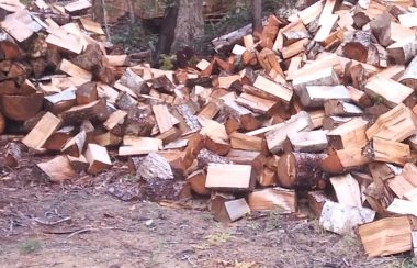 A large pile of wood is sitting next to a wall of stacked wood.